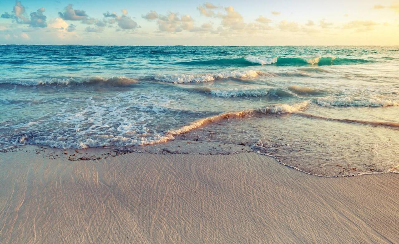 Playa Palmera Beach Resort Punta Cana Dış mekan fotoğraf