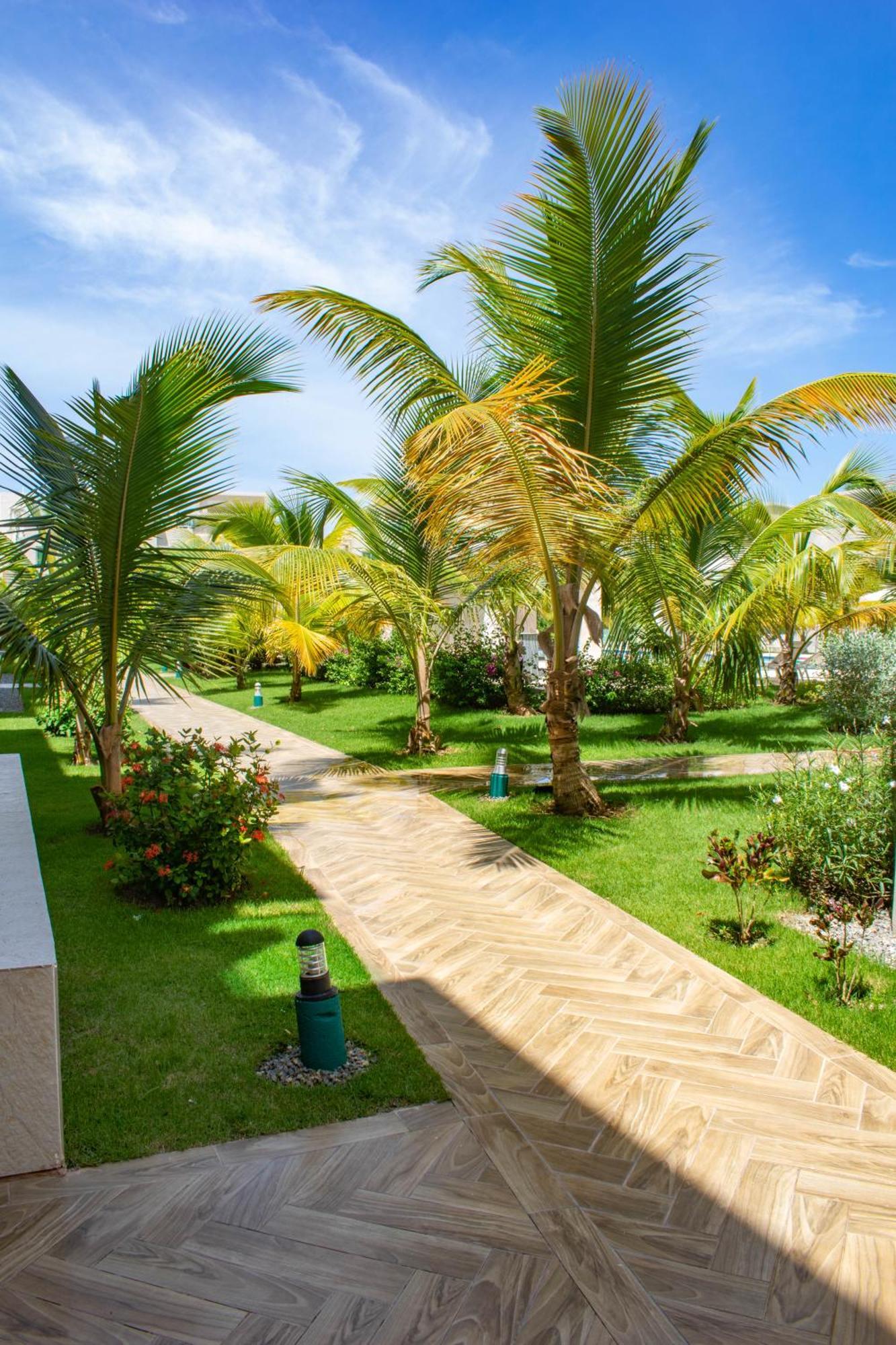 Playa Palmera Beach Resort Punta Cana Dış mekan fotoğraf